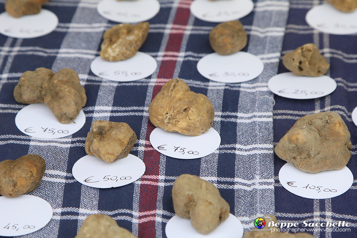 VBS_1392 - Fiera Nazionale del Tartufo e dei Santi 2022.jpg